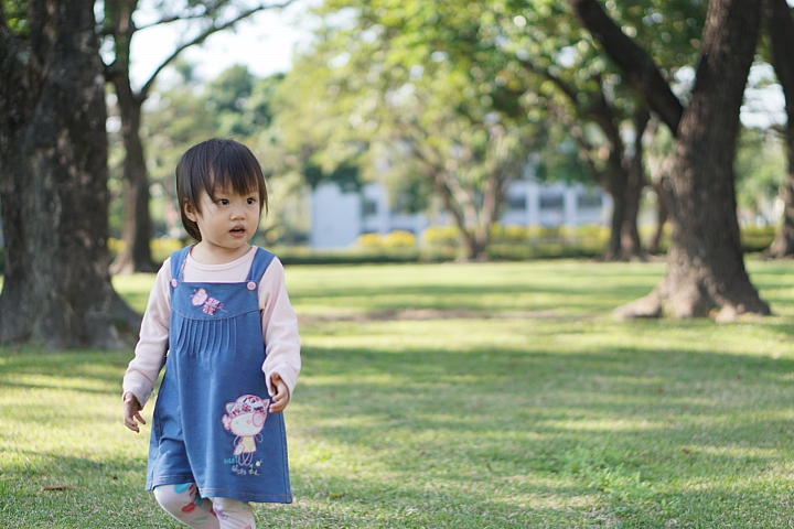 DIY清潔 入塵嚴重的SONY E 50mm F1.8 OSS