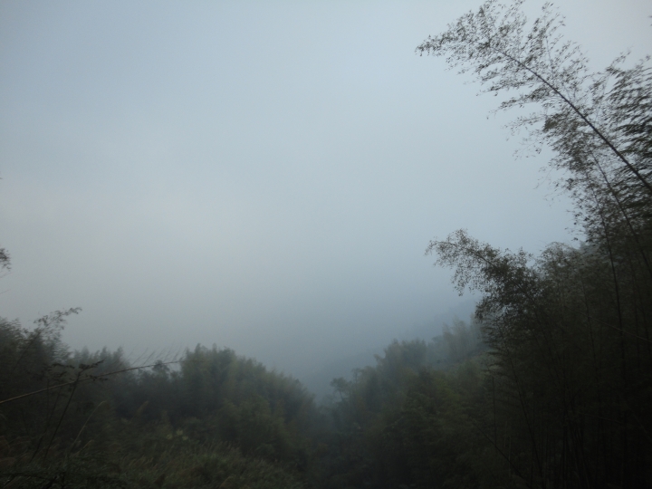 「神鵝瞎旅」(下)之 集集大山 老頭 〝踏去當〞。