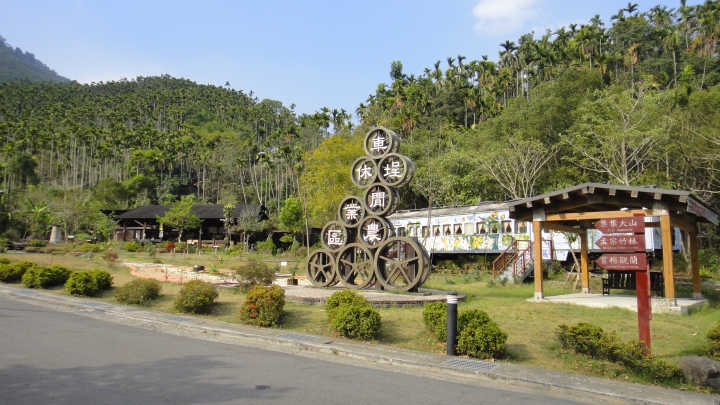「神鵝瞎旅」(下)之 集集大山 老頭 〝踏去當〞。