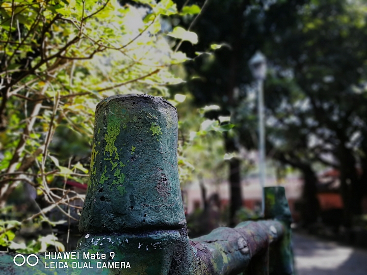 Mate9日間實拍樣張，解毒照