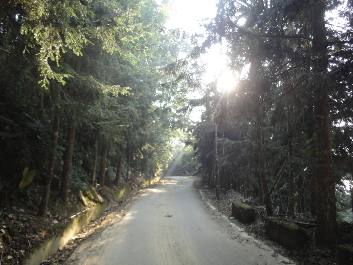 「神鵝瞎旅」(下)之 集集大山 老頭 〝踏去當〞。