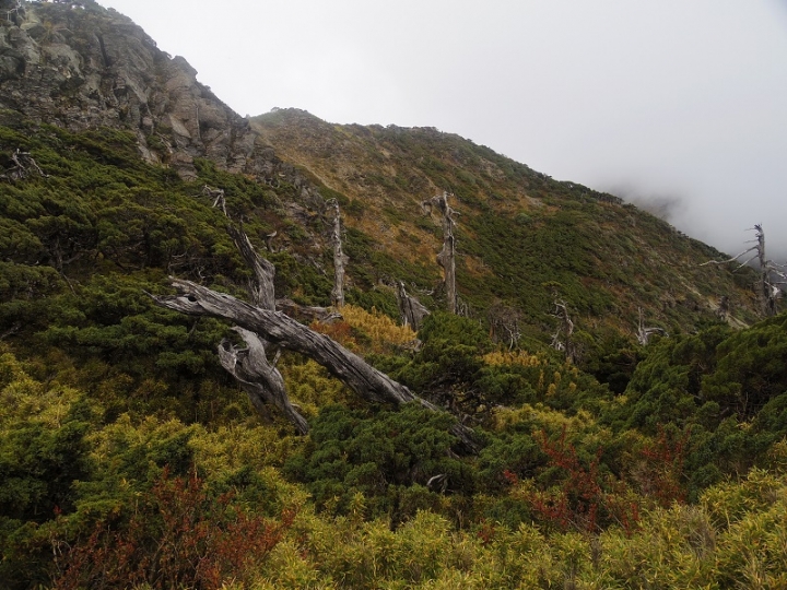 天公作美的南湖大山四日行程