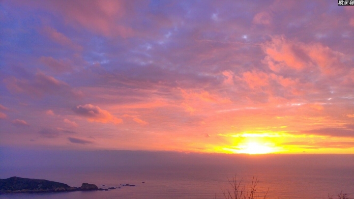 (第86批圖) LG G4 &G5&V10&v20 日夜拍研究團 精選作品2016.12.21