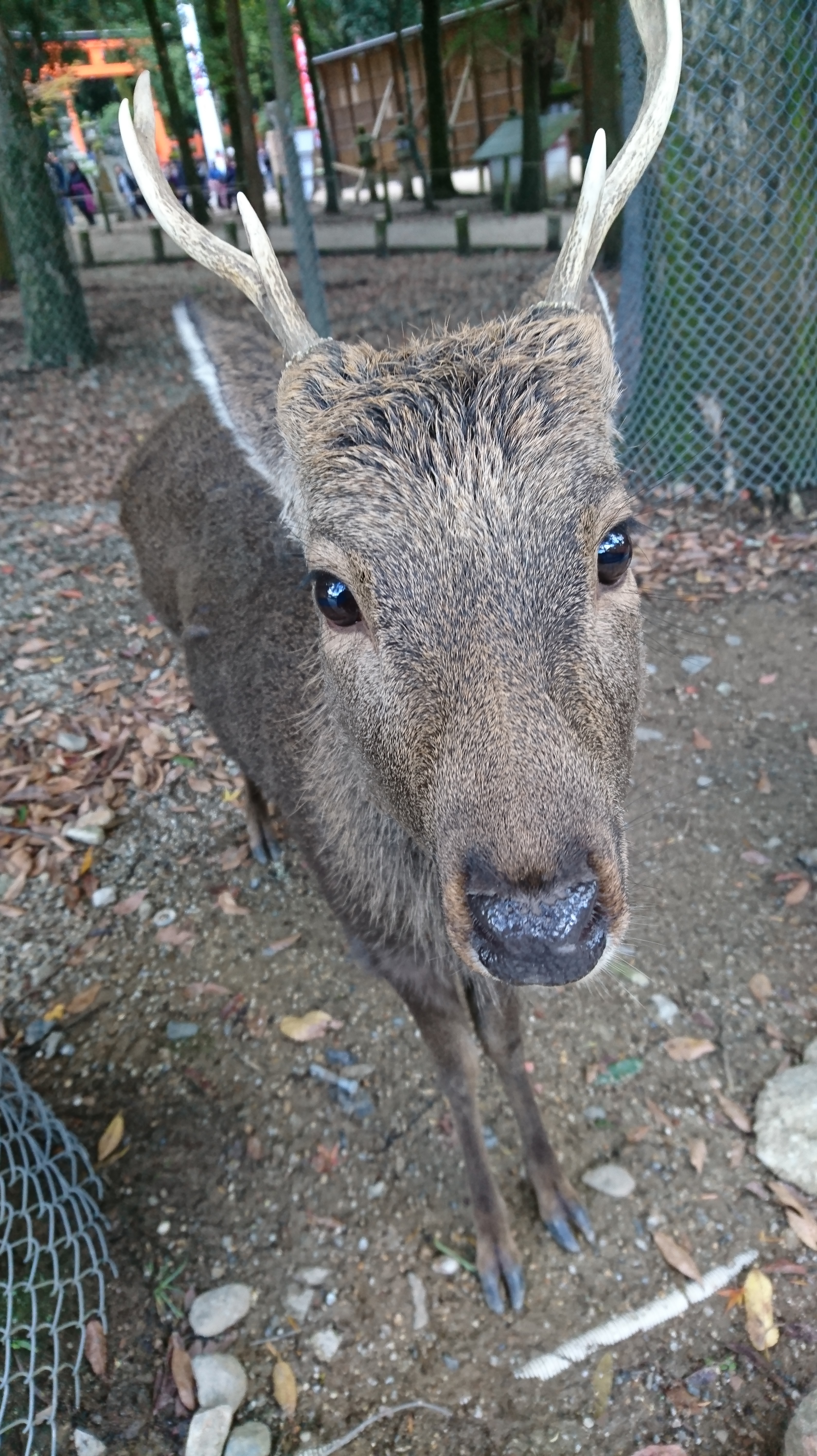 Sony Xperia XZ 隨手拍照都是作品！