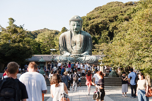 [走跳] 日本東京五日遊 Day4 （下）-  高德院大佛、鎌倉、鶴岡八幡宮、新宿鳥貴族