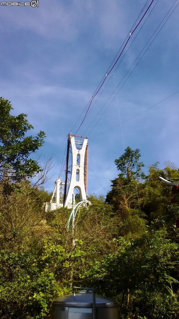 梅山36彎及二尖山茶園、碧湖山茶園一日遊