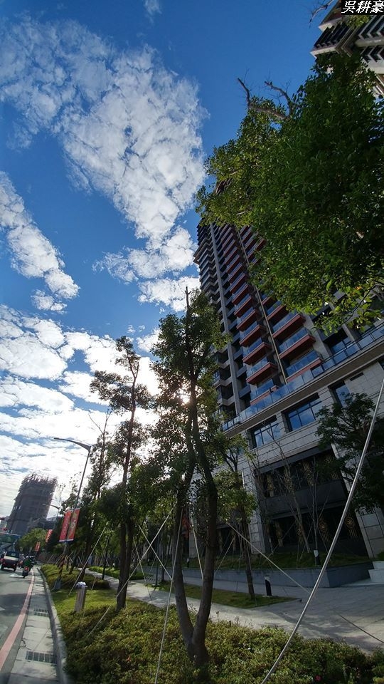 (第86批圖) LG G4 &G5&V10&v20 日夜拍研究團 精選作品2016.12.21