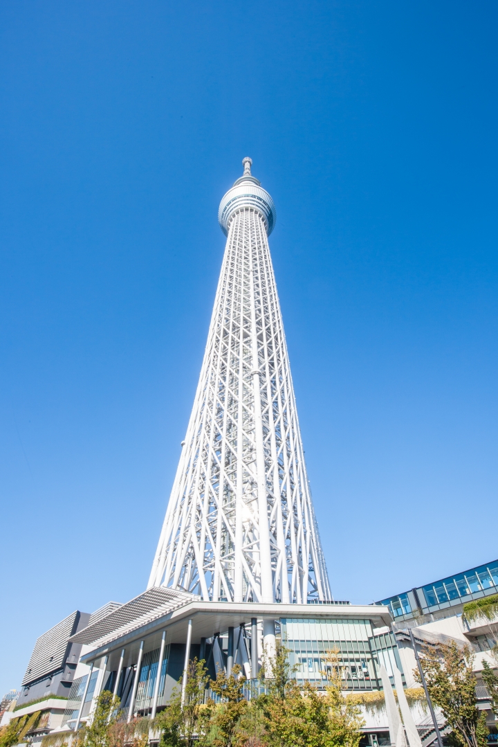 第一次帶媽媽日本東京八天七夜自助之旅 (圖多文多慎入)
