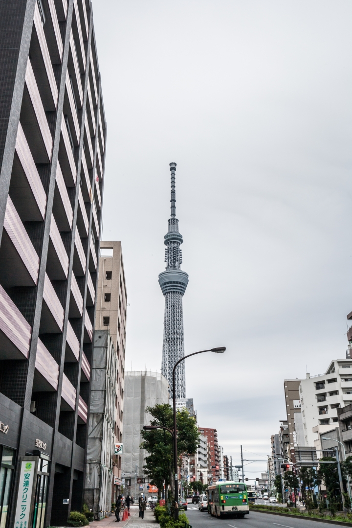 第一次帶媽媽日本東京八天七夜自助之旅 (圖多文多慎入)