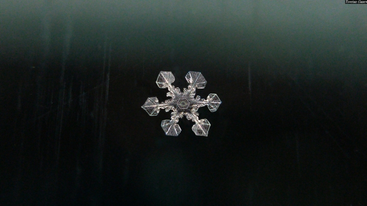 (第86批圖) LG G4 &G5&V10&v20 日夜拍研究團 精選作品2016.12.21