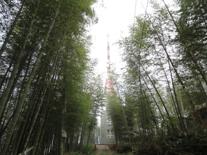 「神鵝瞎旅」(下)之 集集大山 老頭 〝踏去當〞。
