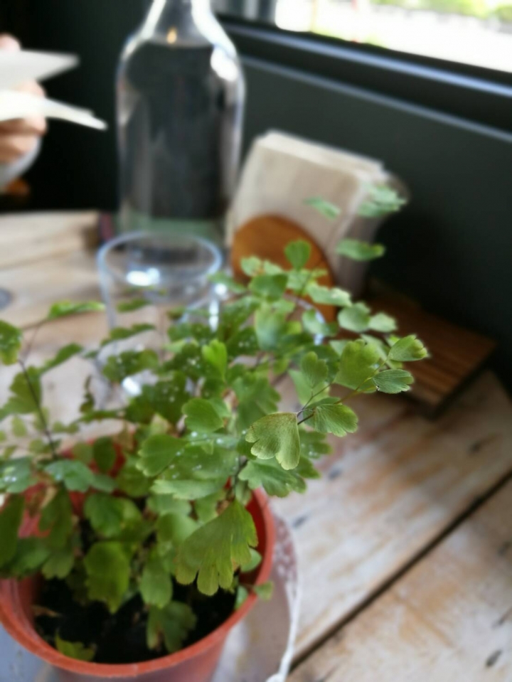 榮耀V8  補開箱