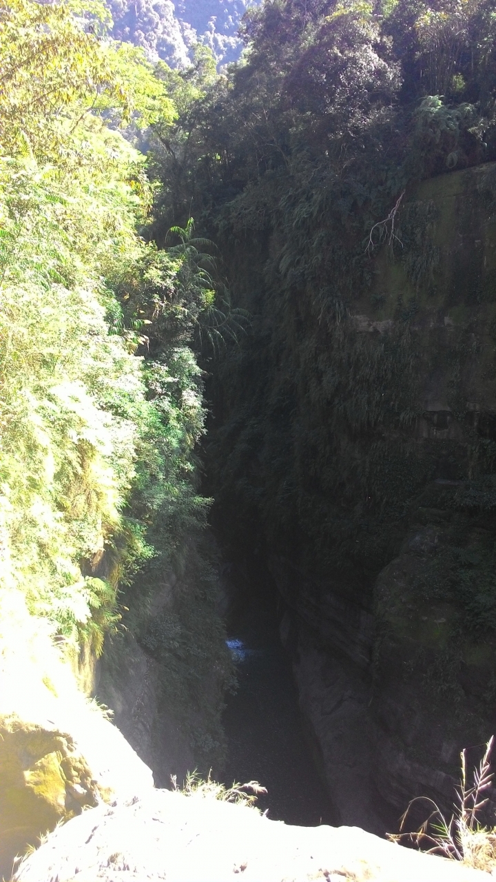 鐵腿之旅-八卦茶園+梯子吊橋(應老頭要求，作了一份圖片解說版)