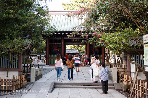 [走跳] 日本東京五日遊 Day4 （下）-  高德院大佛、鎌倉、鶴岡八幡宮、新宿鳥貴族