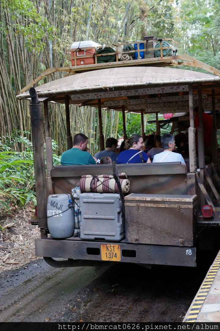 奧蘭多迪士尼世界 - Disney's Animal Kingdom 之動物的天堂