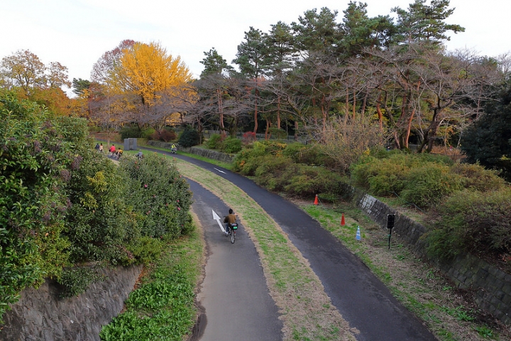 【2016關東】親子遊東京賞銀杏紅葉首選，到國營昭和紀念公園玩樂一整天