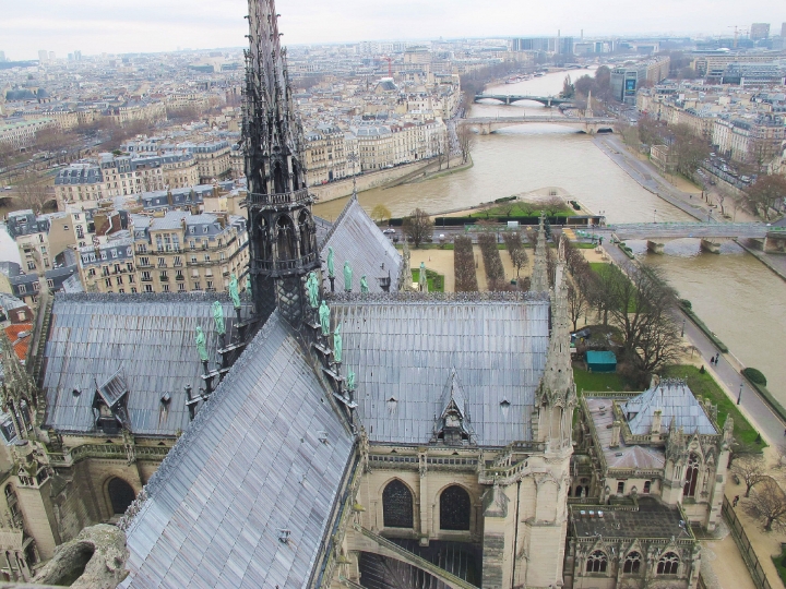 【Paris．走跳】巴黎聖母院尋找鐘樓怪人與莎士比亞老書店傳奇Notre-Dame