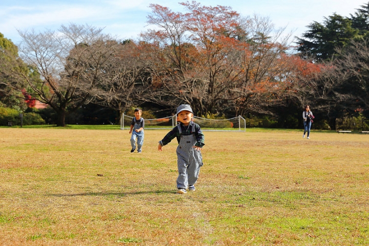 【2016關東】親子遊東京賞銀杏紅葉首選，到國營昭和紀念公園玩樂一整天