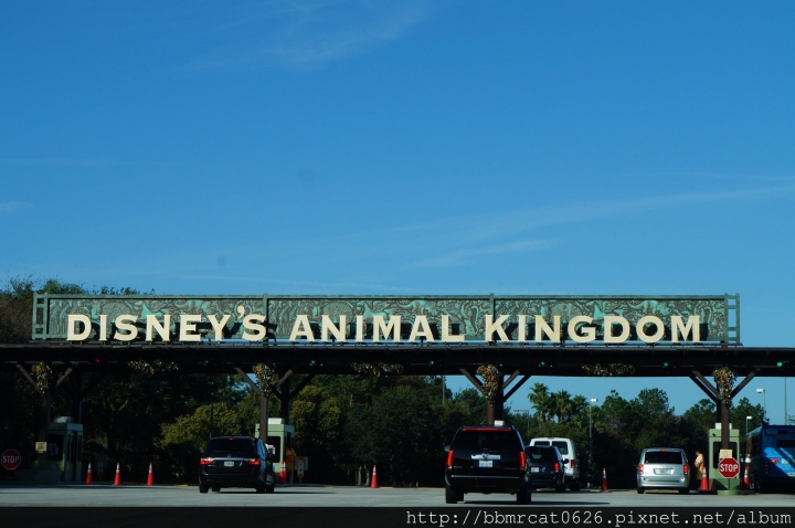 奧蘭多迪士尼世界 - Disney's Animal Kingdom 之動物的天堂