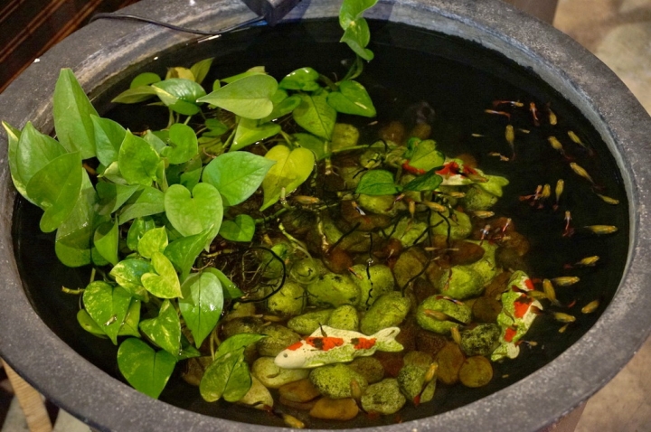 [台南][中西區] 庵六花 京都濃咖哩專賣