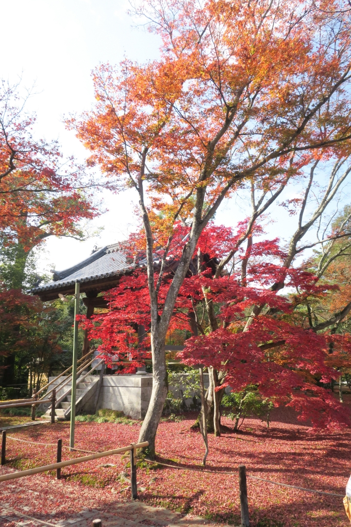 [京都]金閣寺(鹿苑寺)