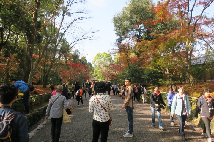 [京都]金閣寺(鹿苑寺)