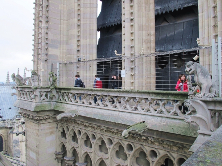 【Paris．走跳】巴黎聖母院尋找鐘樓怪人與莎士比亞老書店傳奇Notre-Dame