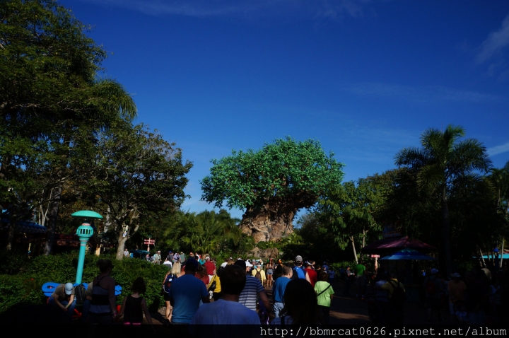 奧蘭多迪士尼世界 - Disney's Animal Kingdom 之動物的天堂