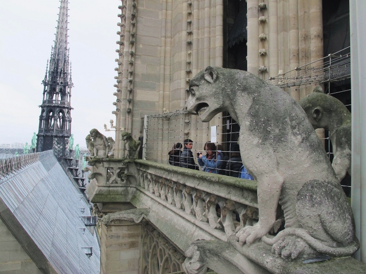 【Paris．走跳】巴黎聖母院尋找鐘樓怪人與莎士比亞老書店傳奇Notre-Dame