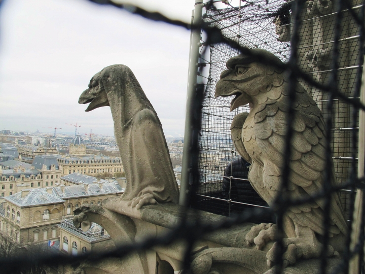 【Paris．走跳】巴黎聖母院尋找鐘樓怪人與莎士比亞老書店傳奇Notre-Dame