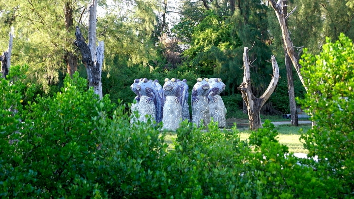 [台南][北門區] 雙春濱海遊憩區 綠色隧道x小忘憂森林星光帳篷（Vanaheim愛莊園）