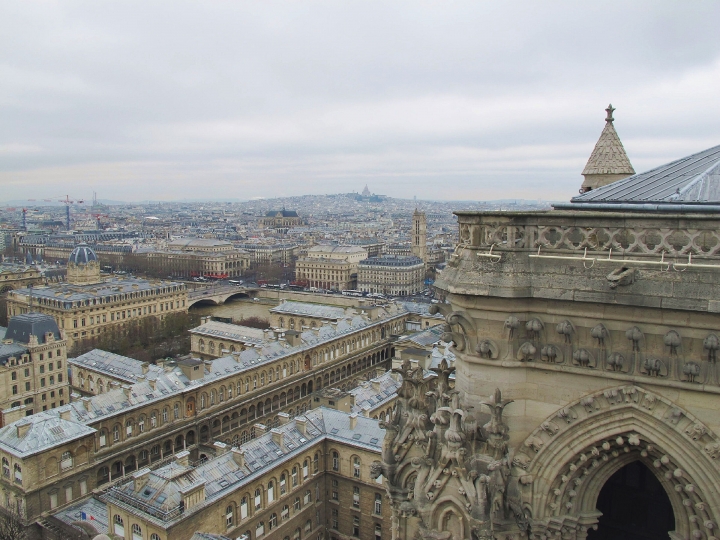 【Paris．走跳】巴黎聖母院尋找鐘樓怪人與莎士比亞老書店傳奇Notre-Dame