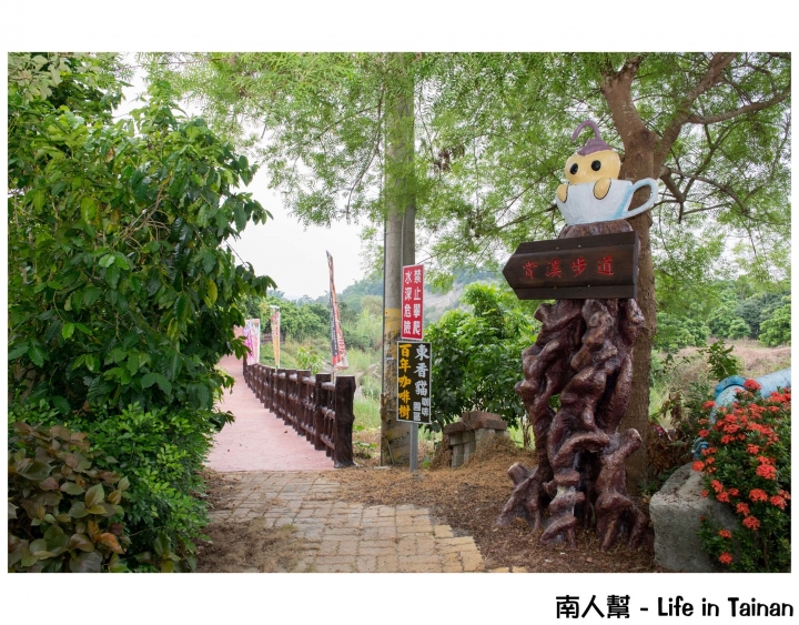 【台南東山區-美食】好山好水好風光│被日本山上出老師評鑑為頂級咖啡~~東香貓咖啡園區