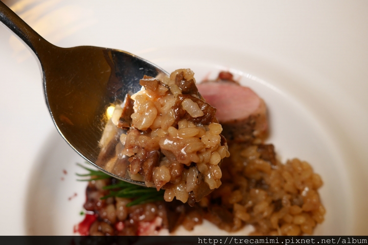 【食記】台中森米歐陸創意料理-微法式的高級滋味/松露燉飯/核桃木燻烤牛小排*寵物友善