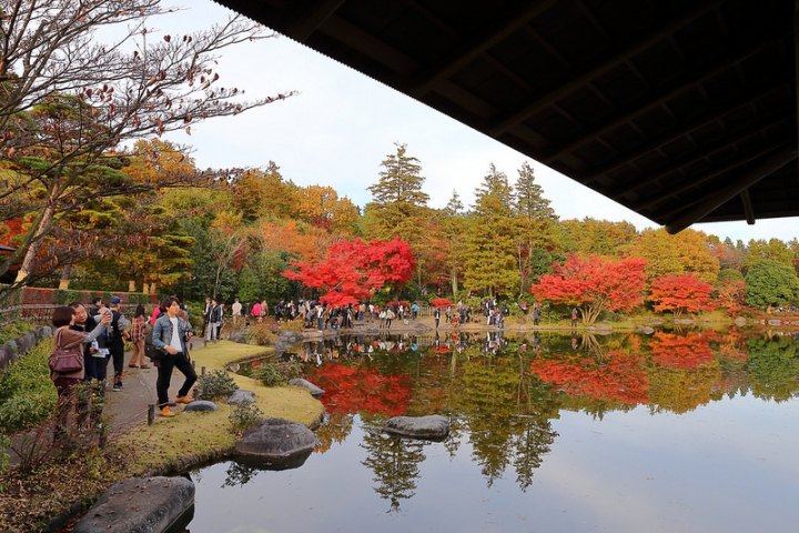 【2016關東】親子遊東京賞銀杏紅葉首選，到國營昭和紀念公園玩樂一整天