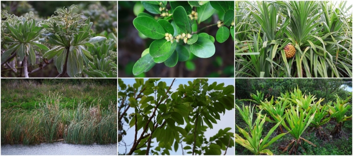 [墾丁秘境] 海生館後場的海角秘境