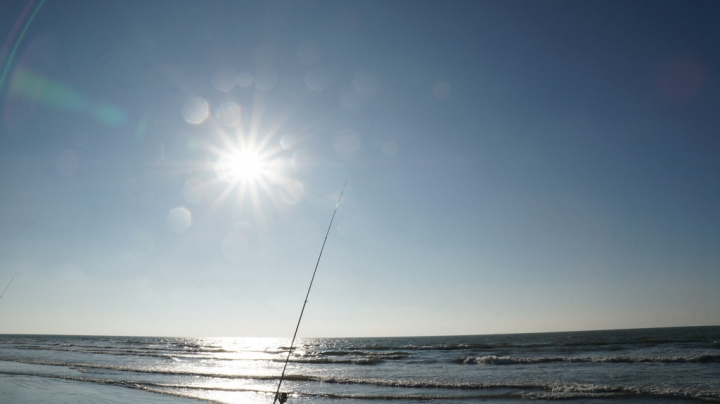 [台南][北門區] 雙春濱海遊憩區 綠色隧道x小忘憂森林星光帳篷（Vanaheim愛莊園）