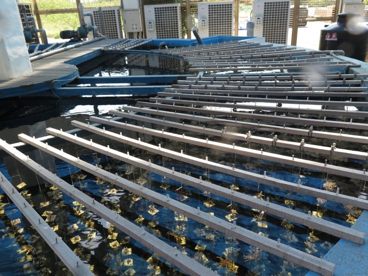 [墾丁秘境] 海生館後場的海角秘境