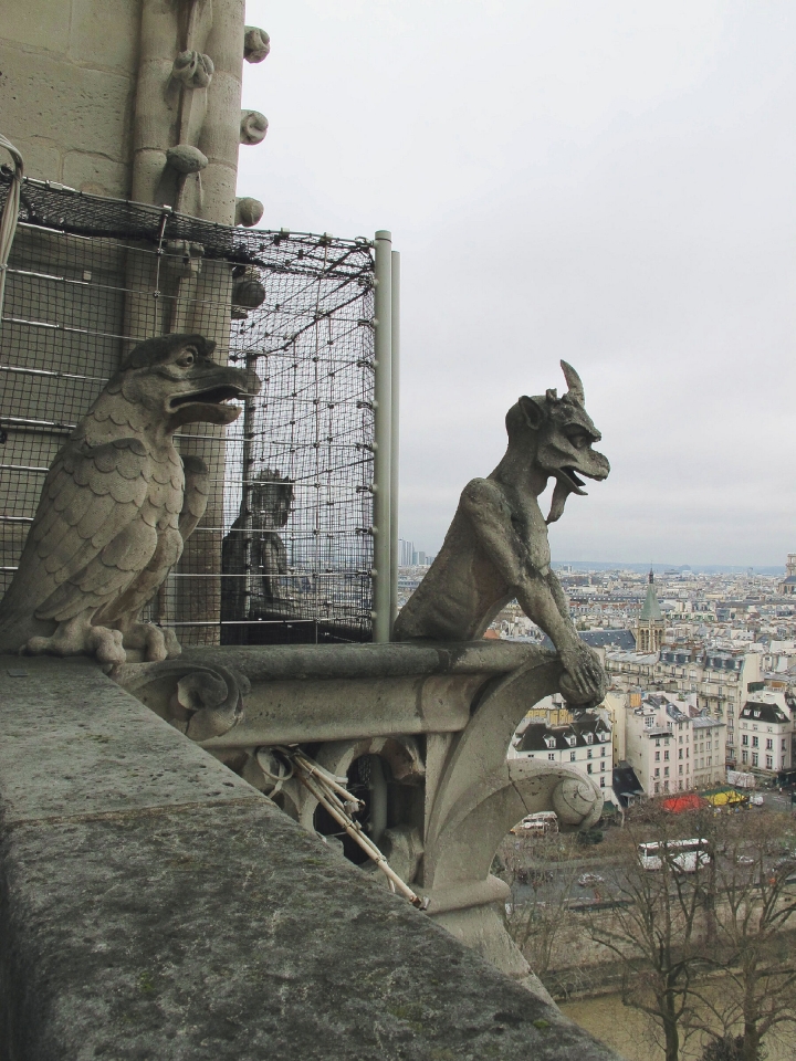 【Paris．走跳】巴黎聖母院尋找鐘樓怪人與莎士比亞老書店傳奇Notre-Dame