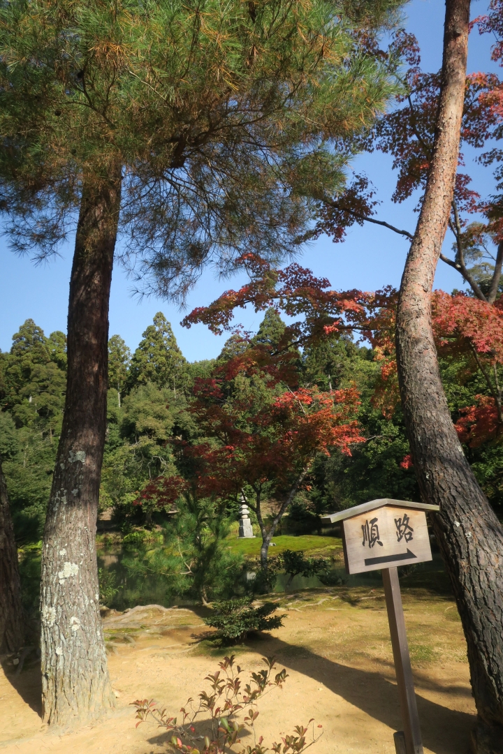 [京都]金閣寺(鹿苑寺)
