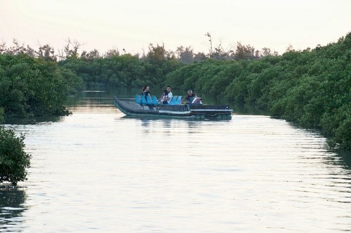 [台南][北門區] 雙春濱海遊憩區 綠色隧道x小忘憂森林星光帳篷（Vanaheim愛莊園）