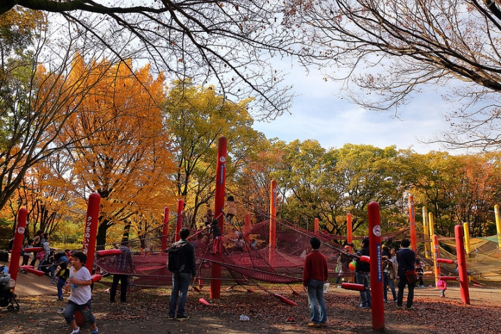 【2016關東】親子遊東京賞銀杏紅葉首選，到國營昭和紀念公園玩樂一整天