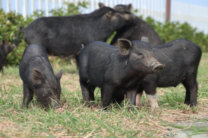 [墾丁秘境] 海生館後場的海角秘境