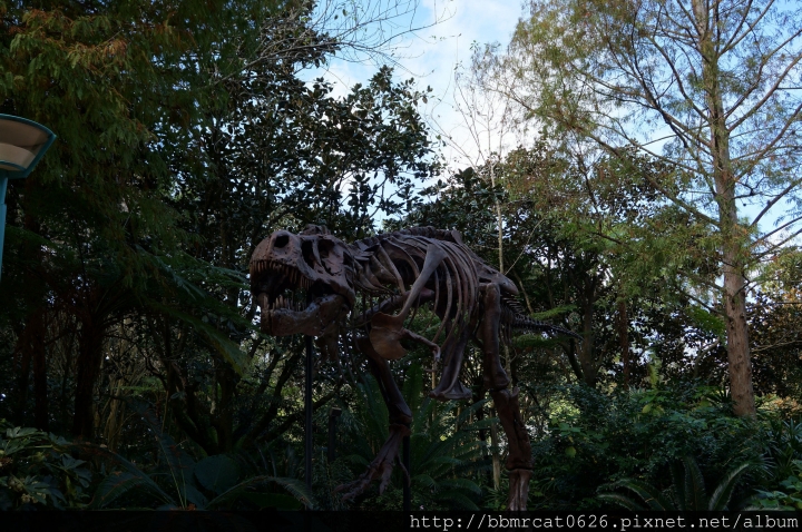 奧蘭多迪士尼世界 - Disney's Animal Kingdom 之動物的天堂