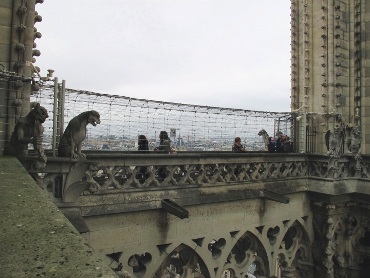 【Paris．走跳】巴黎聖母院尋找鐘樓怪人與莎士比亞老書店傳奇Notre-Dame