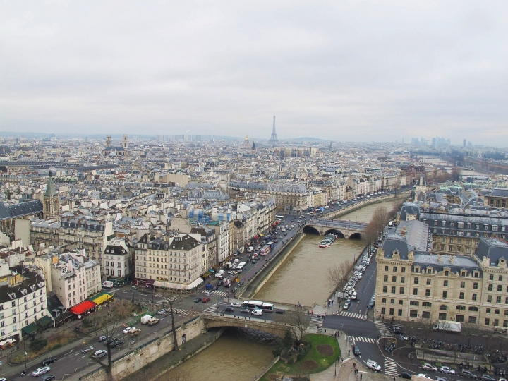 【Paris．走跳】巴黎聖母院尋找鐘樓怪人與莎士比亞老書店傳奇Notre-Dame