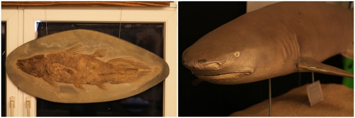 [墾丁秘境] 海生館後場的海角秘境