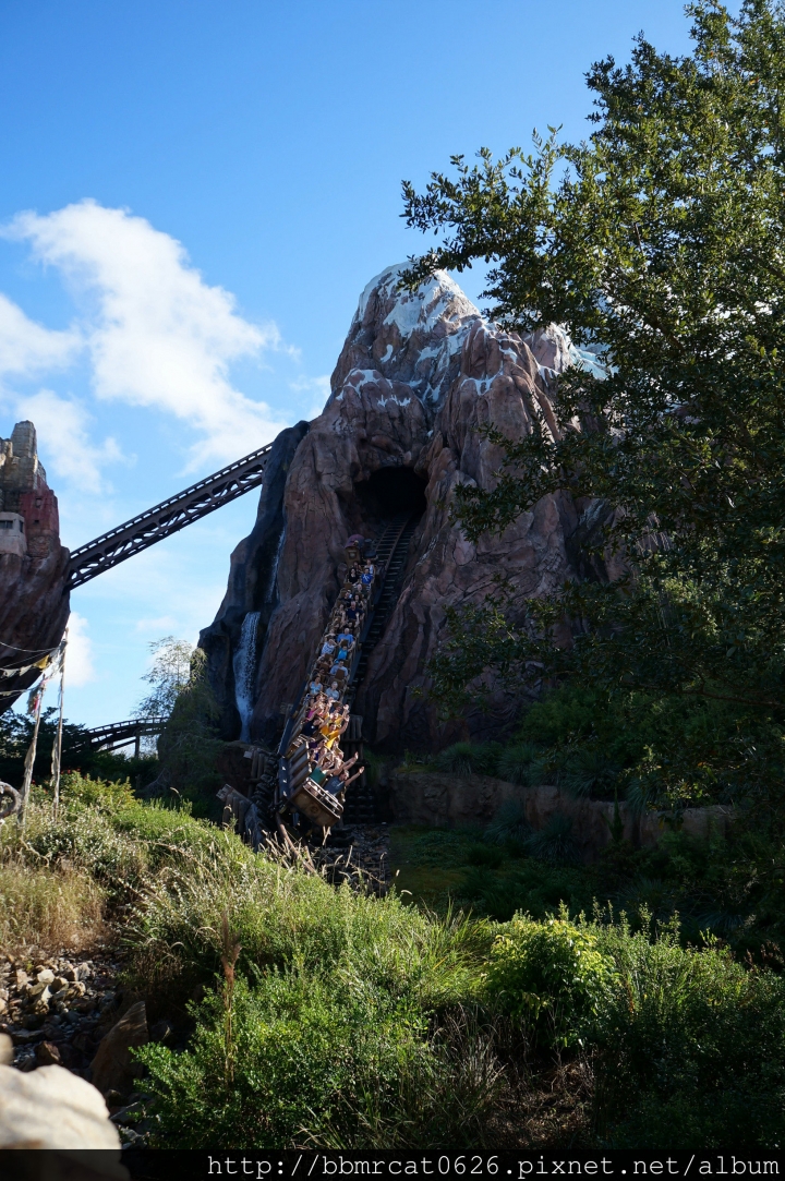 奧蘭多迪士尼世界 - Disney's Animal Kingdom 之動物的天堂