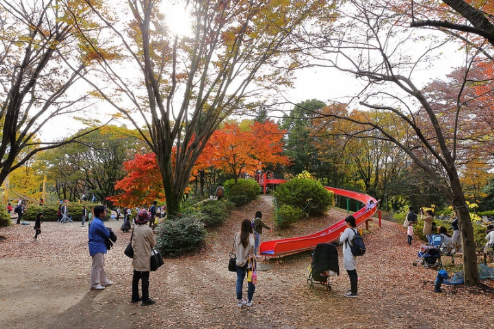 【2016關東】親子遊東京賞銀杏紅葉首選，到國營昭和紀念公園玩樂一整天