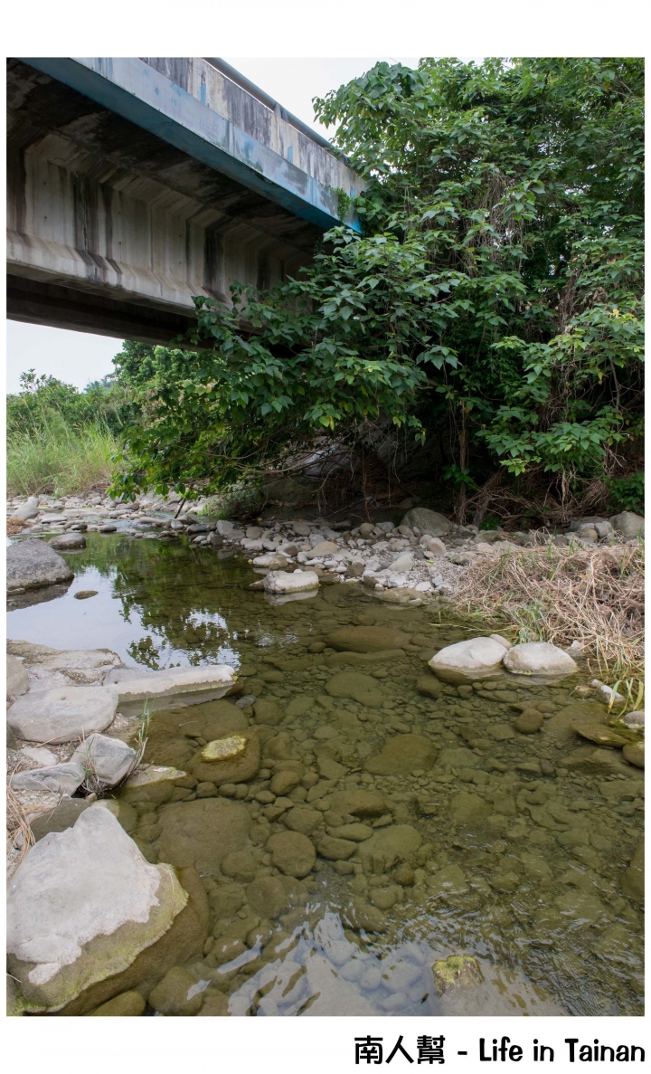 【台南東山區-美食】好山好水好風光│被日本山上出老師評鑑為頂級咖啡~~東香貓咖啡園區